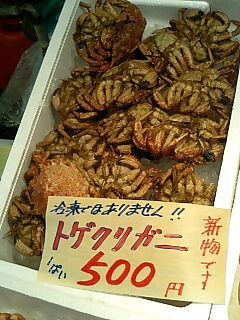 100207_1226~0001.jpg