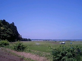 100606_1002~0002.jpg