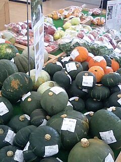 100830_1225~0001.jpg