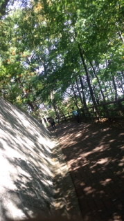 111009_1027~010001.jpg