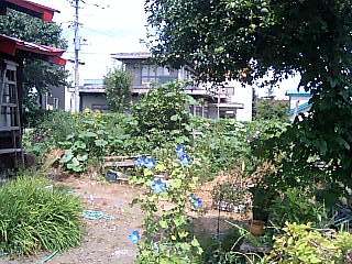 100829_1210~0002.jpg