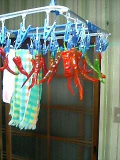 100829_1614~0001.jpg