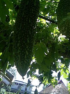 100830_1111~0002.jpg