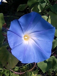 100830_1117~0001.jpg