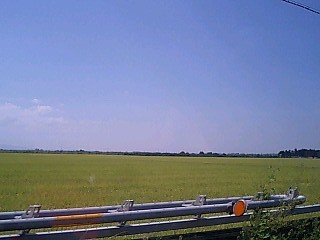 100830_1259~0001.jpg