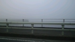 110805_0455~020001.jpg