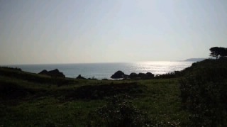 111009_0844~020001.jpg