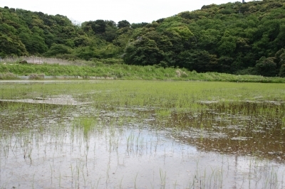 鹿島.jpg